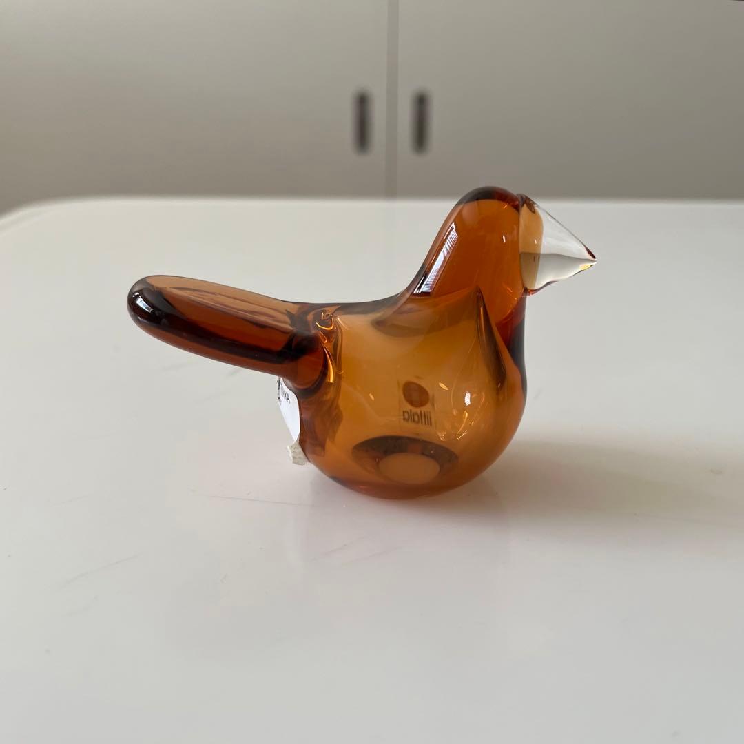 【廃盤品】2015年スコープ別注★イッタ／Sieppo・シエッポ