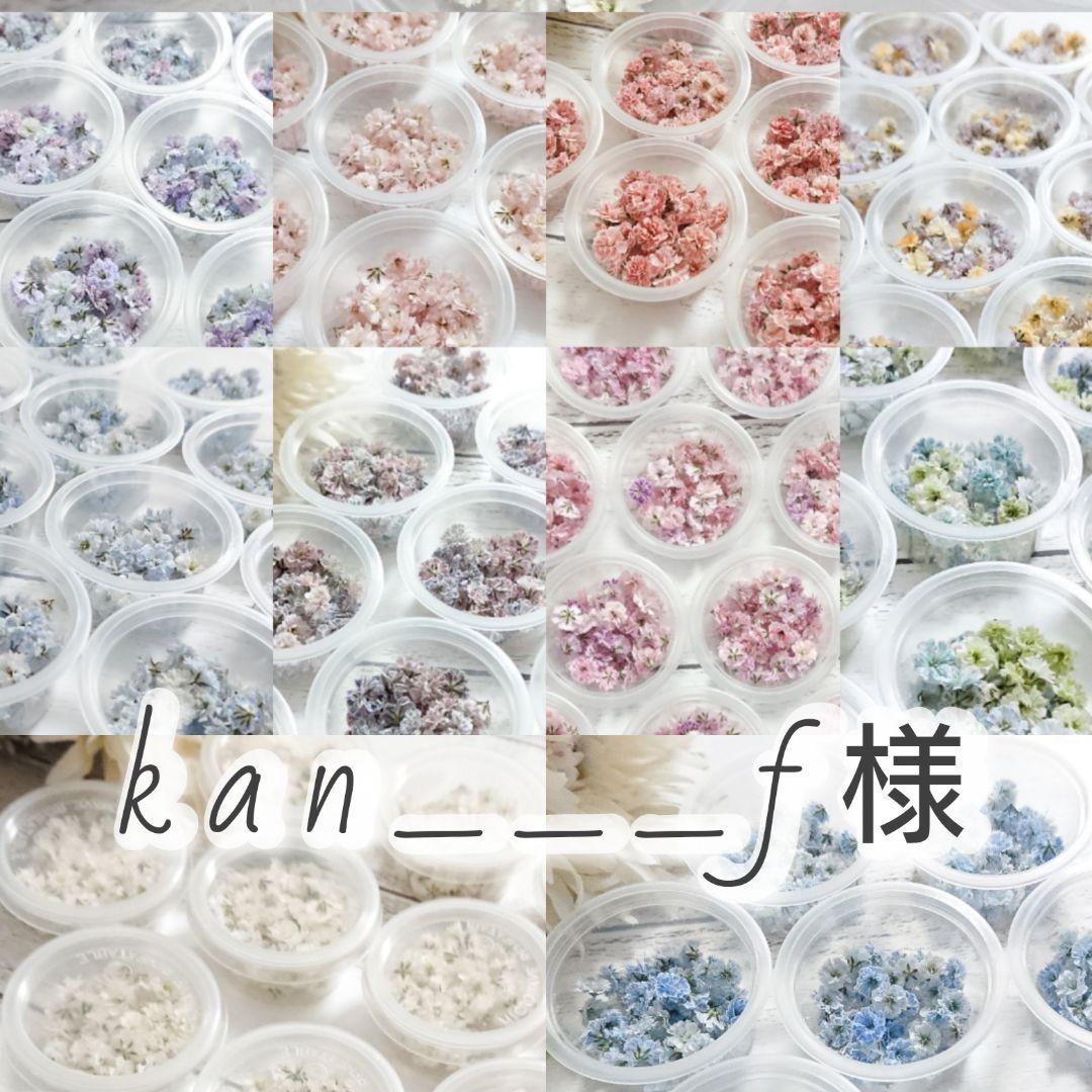 【kan___f様おまとめ】ドライフラワー