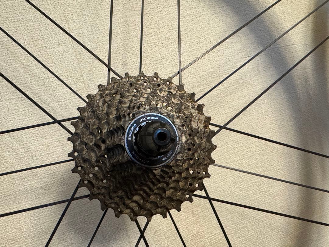 CAMPAGNOLO ZONDA C17 シマノフリー