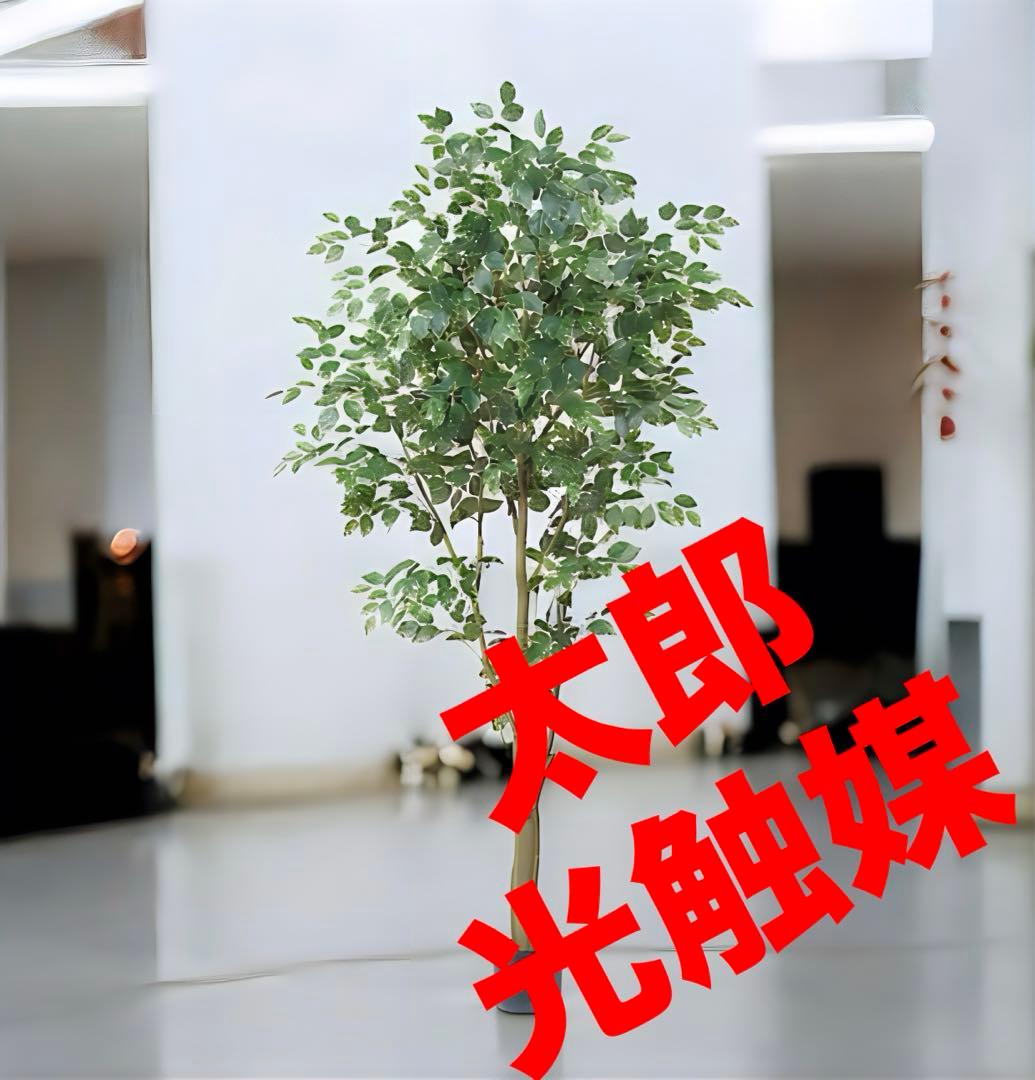 光触媒　人工観葉植物　ウォールグリーン　フェイクグリーン　ベンジャミンフィカスv