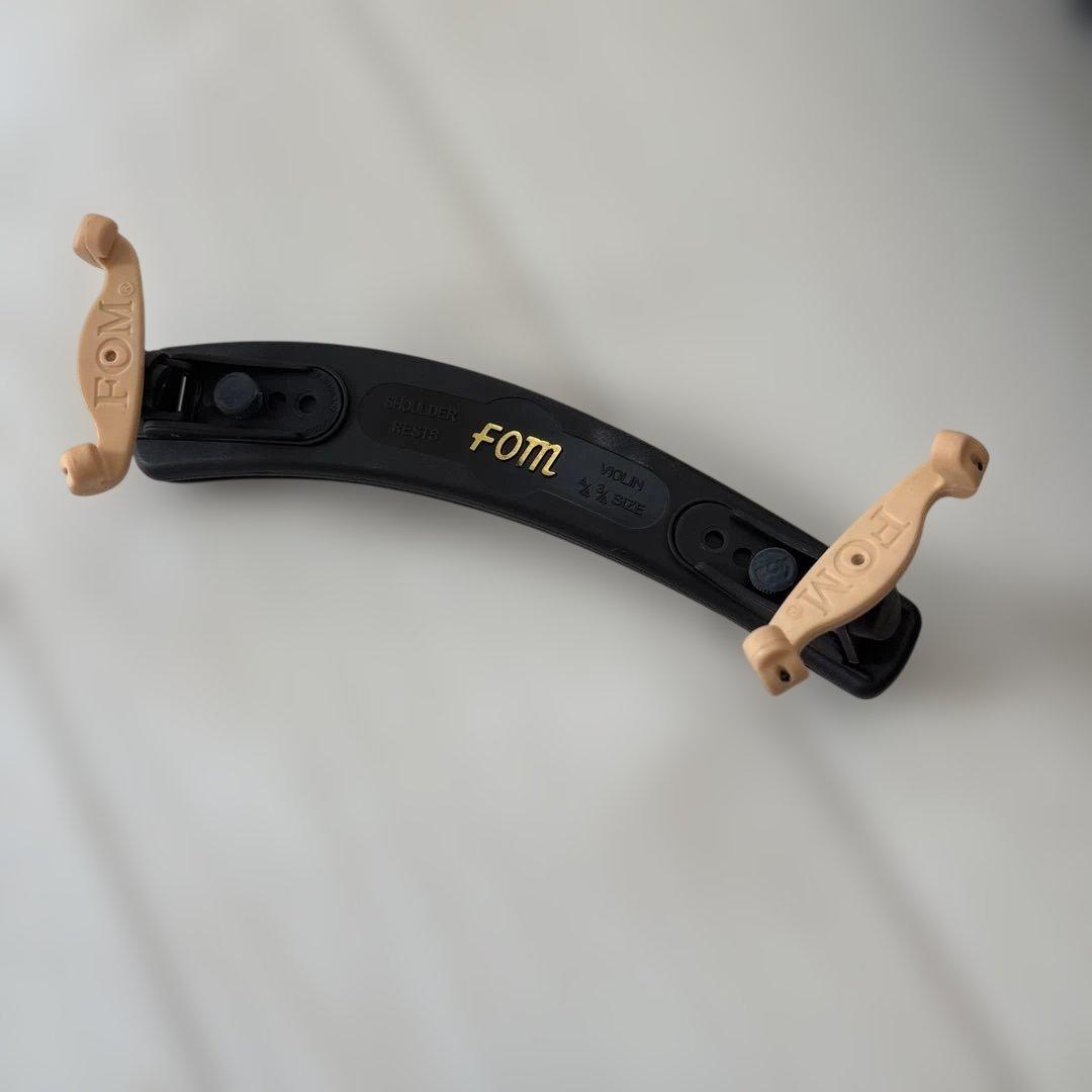 【美品・2017年製】Carlo giordano VS-1 3/4 バイオリン