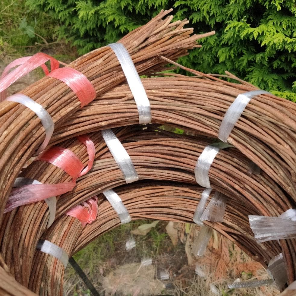 みっくん　青森県岩木山採取　あけび蔓　150cm～　練習用　3kg