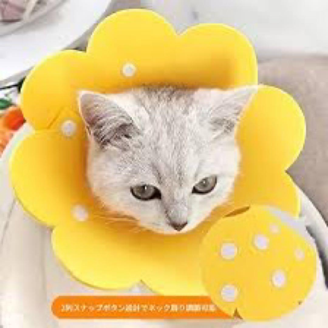 エリザベスカラー 花型 Mサイズ イエロー 10点まとめ