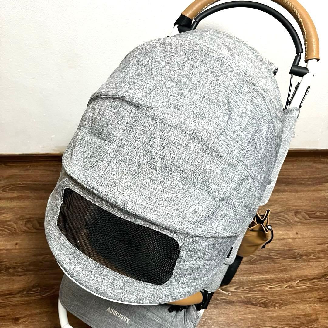 エアバギー ココ ブレーキ EX フロムバース アースグレー AirBuggy