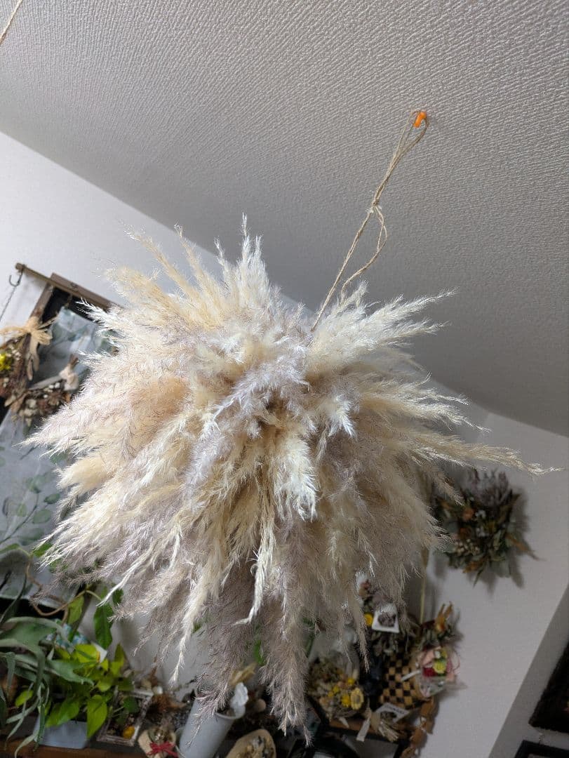 ドライフラワー★ふわふわパンパス特大フライングボール★インテリア♪癒し♪可愛い♪