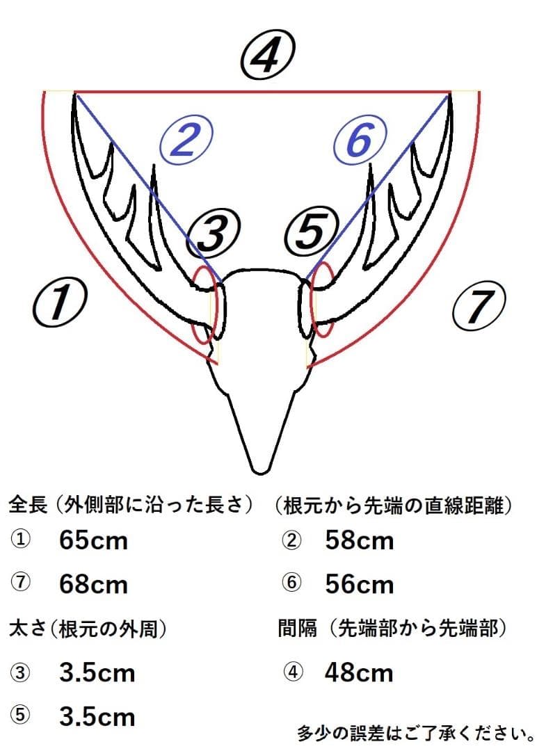 蝦夷鹿　角　No.4