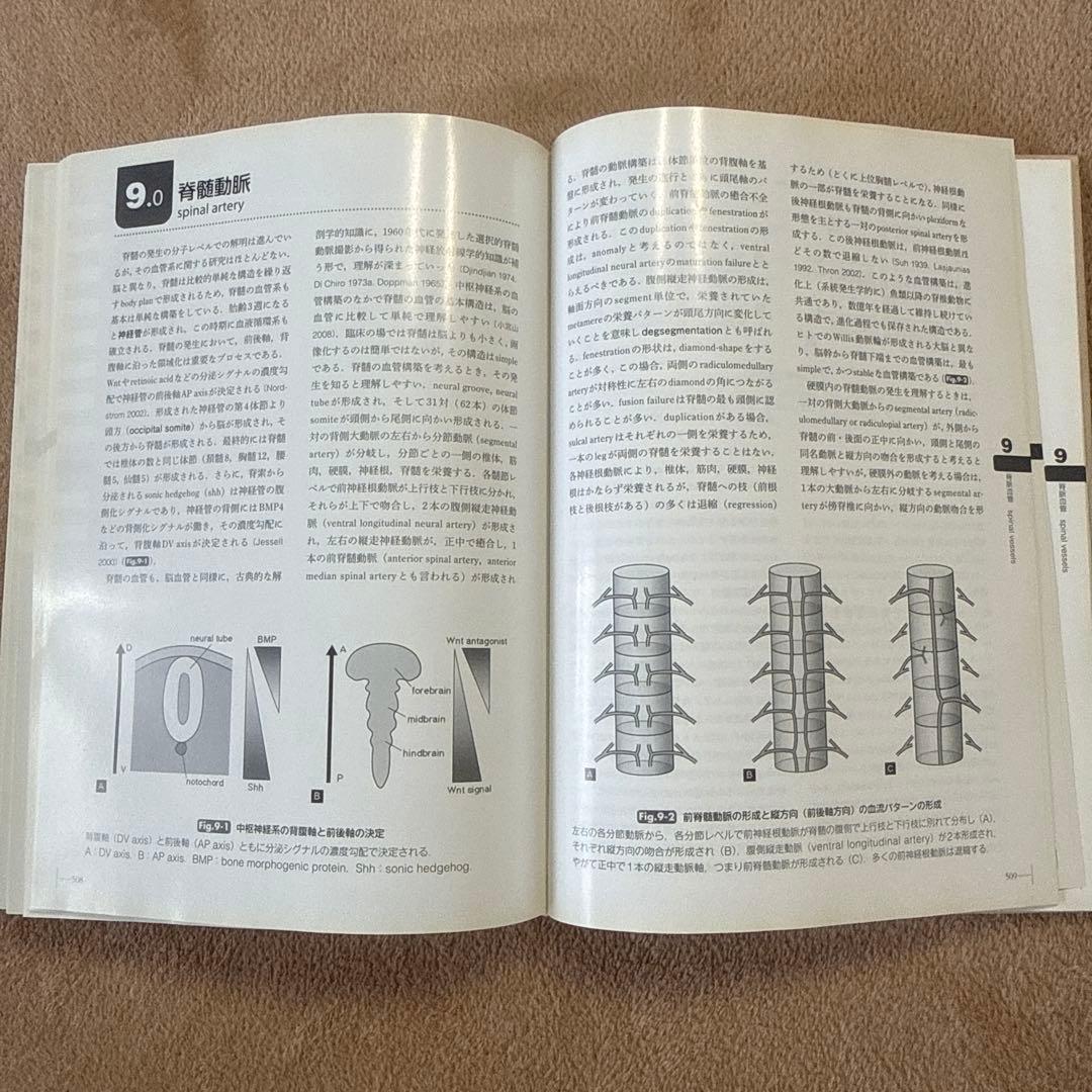 医学書　脳脊髄血管の機能解剖 増補版