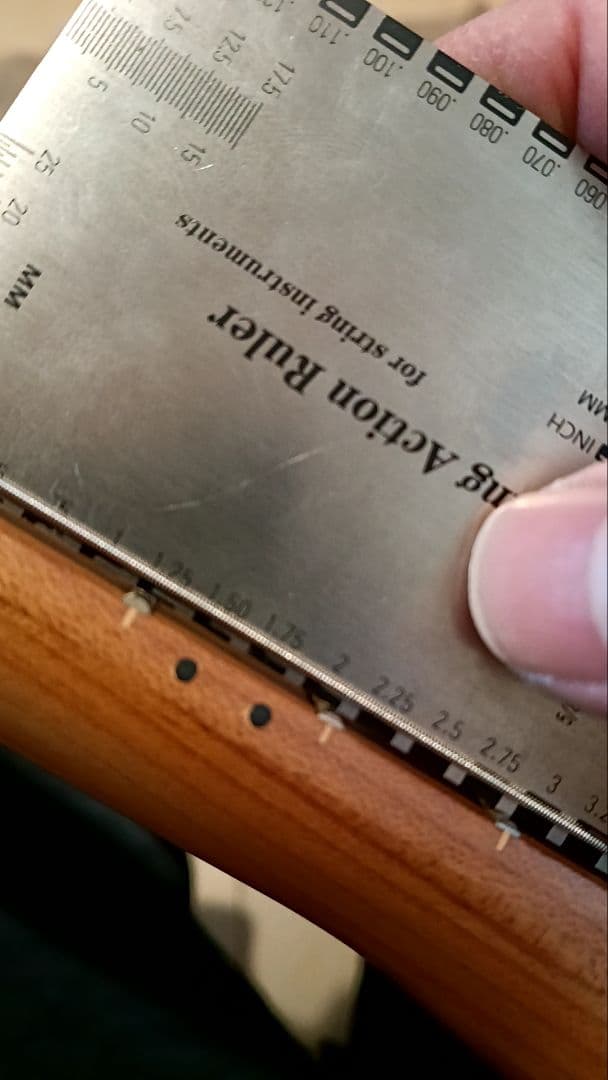 Bacchus BTE-2-RSM/M 3TS エレキギター