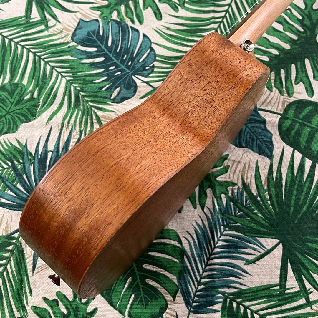 【入門セット】YAELバラ模様のコンサート・ウクレレ【ウクレレ専門店】