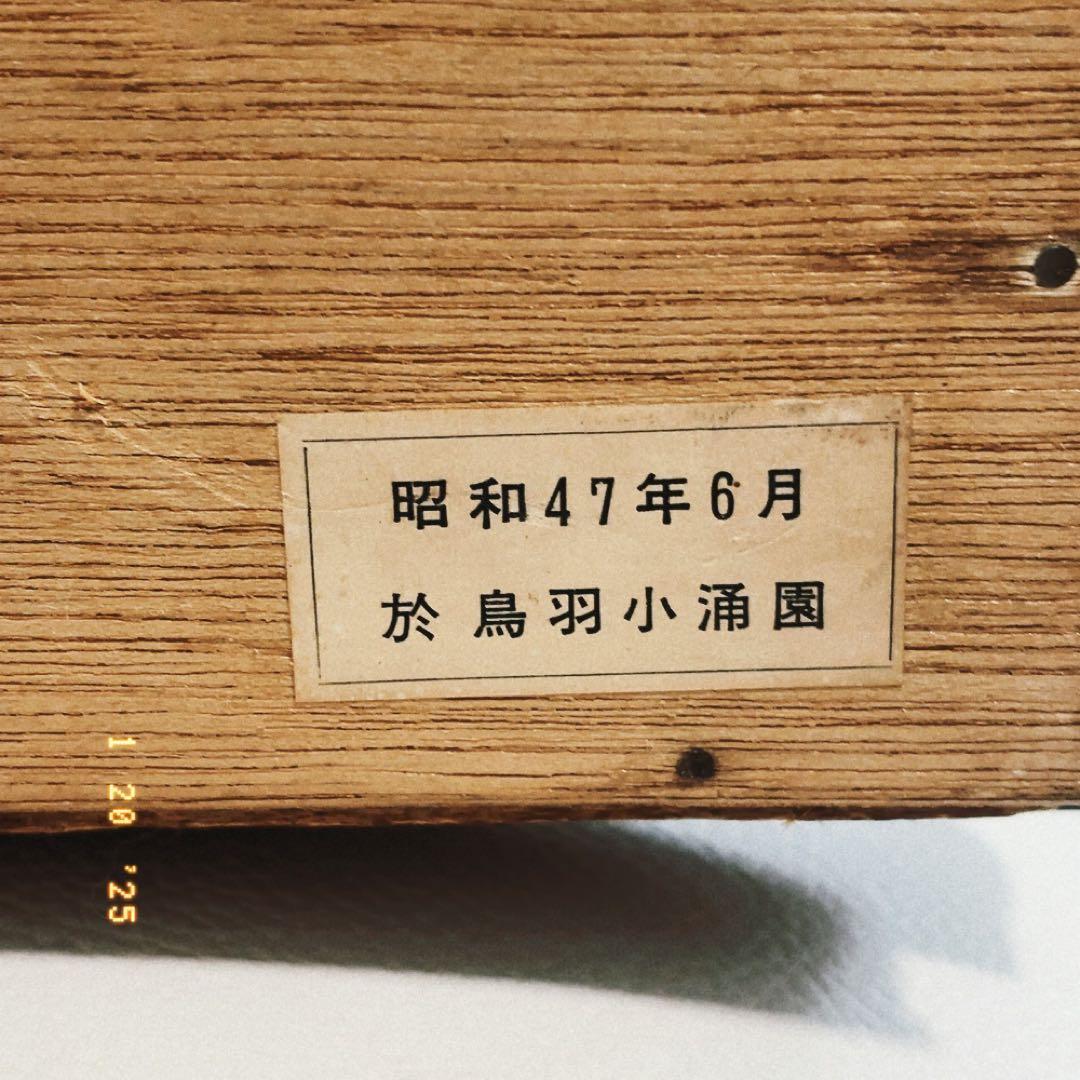 真珠標本 50周年記念