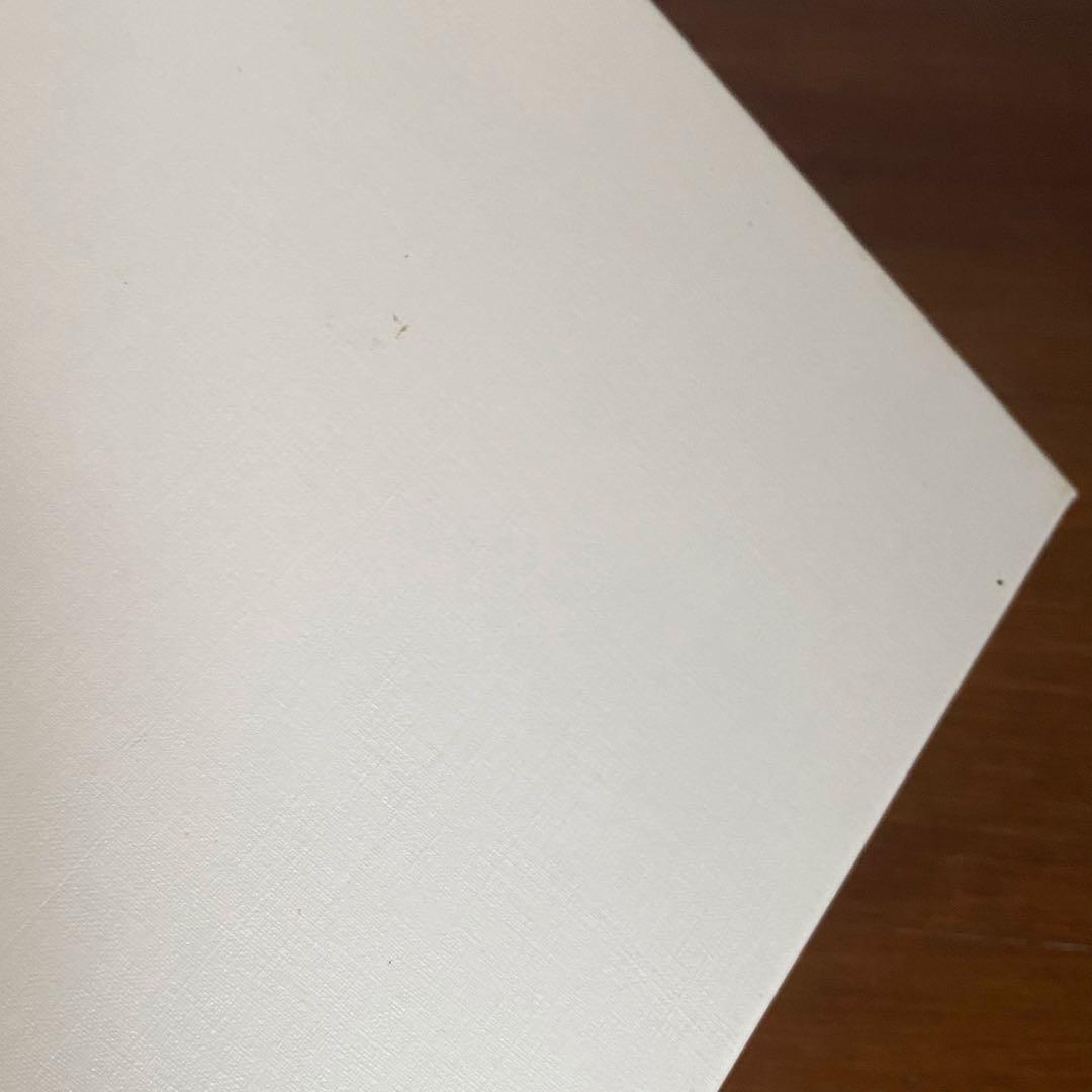 SWAROVSKI スワロフスキー クリスタル タイガー 置物