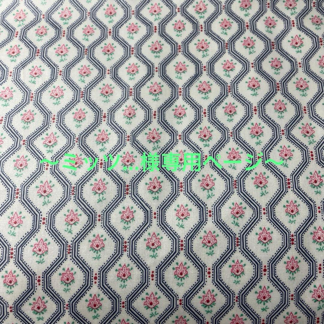 〜ミッツ…ページ〜