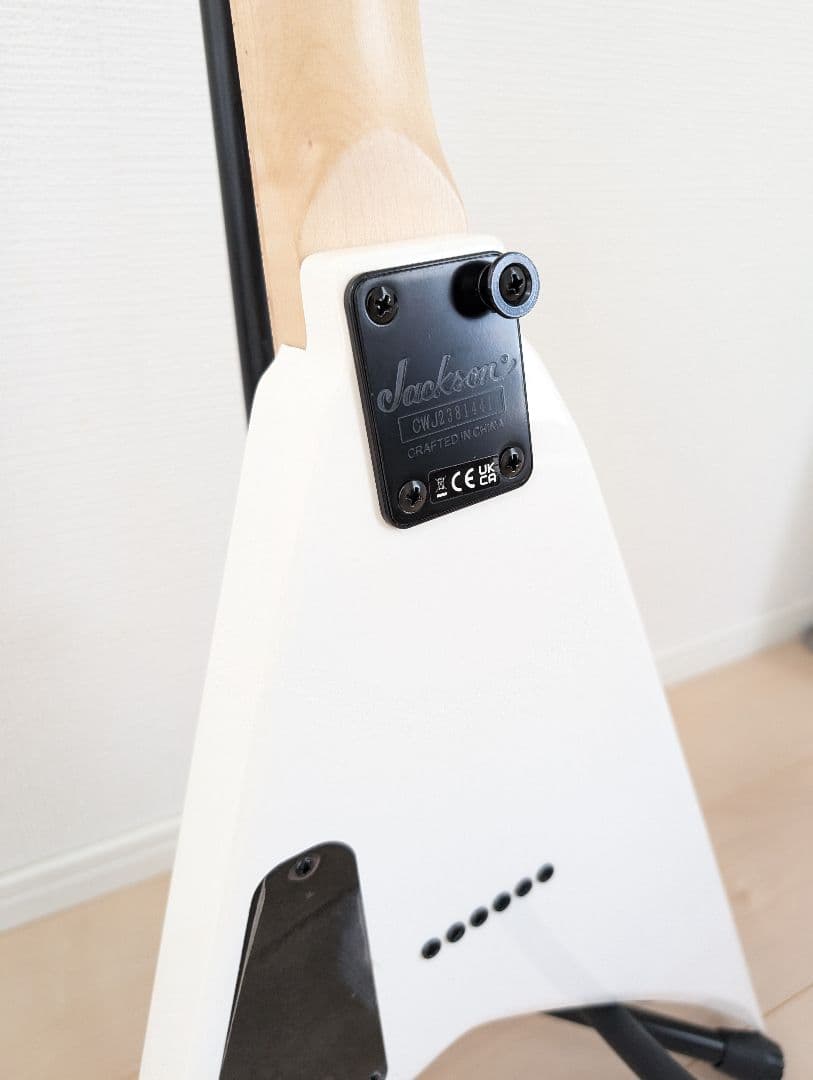 Jackson JS Series JS1XM RR Minion ランディV