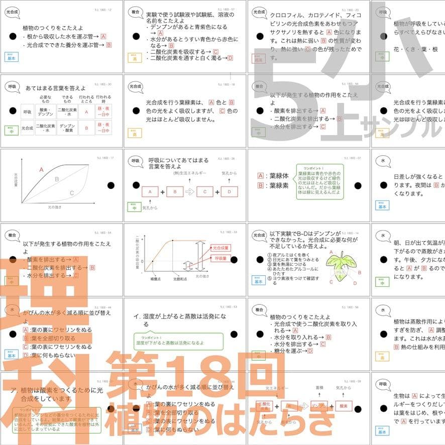 ＼＼2026福袋／／ 中学受験 暗記カード【5年生フルセット 現時点 社理国】