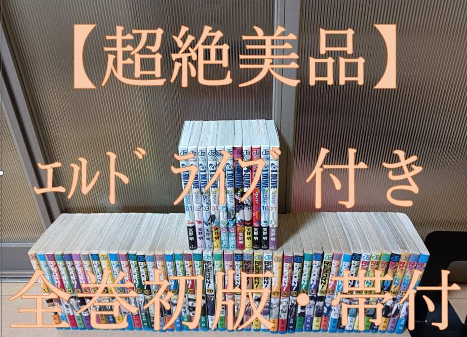 217美品 初版 帯付き 家庭教師ヒットマン リボーン エルドライブ 全巻