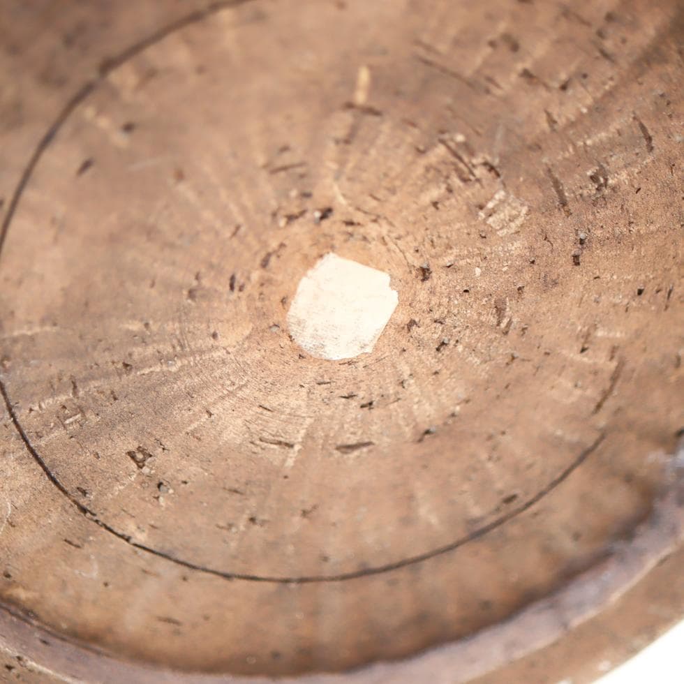 安南 五彩魚藻紋 大瓶 38cm