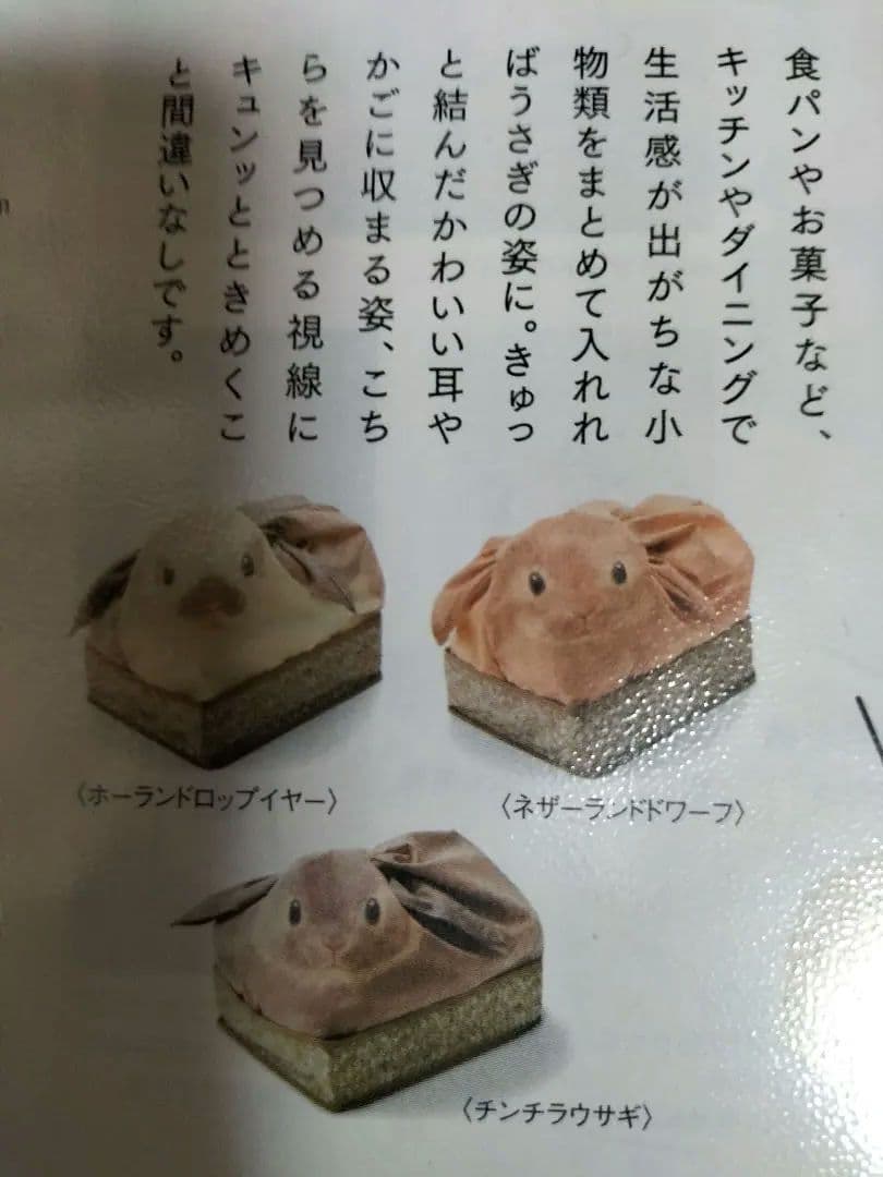 フェリシモ★うさぎを飼っている気分の収納ケース★チンチラウサギ