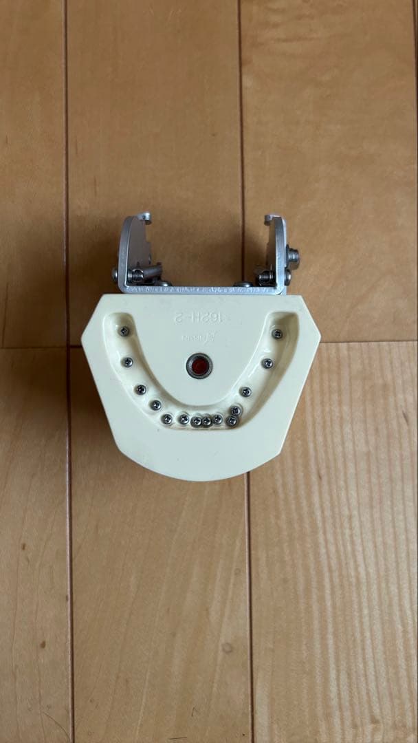 歯科衛生士顎模型ニッシンマネキン セット説明書付き