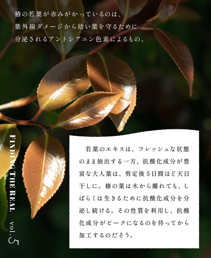 ON&DO3点セット❗️新品未開封⭐️大容量❗️エンリッチフェイスクリーム50g潤い