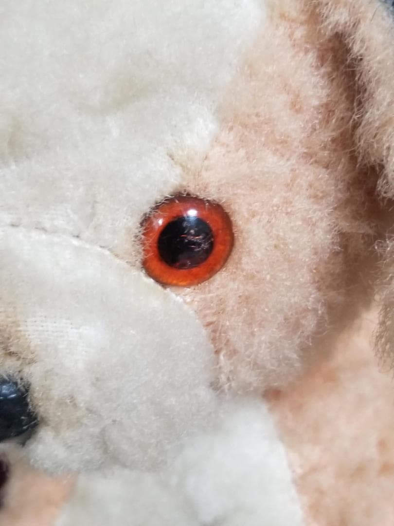 チャドバレー　ヴィンテージ　ドッグ　犬