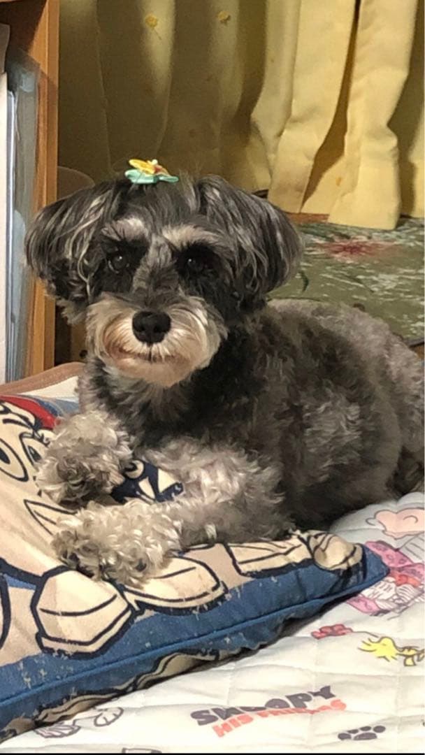 miniさま  確認用　その②