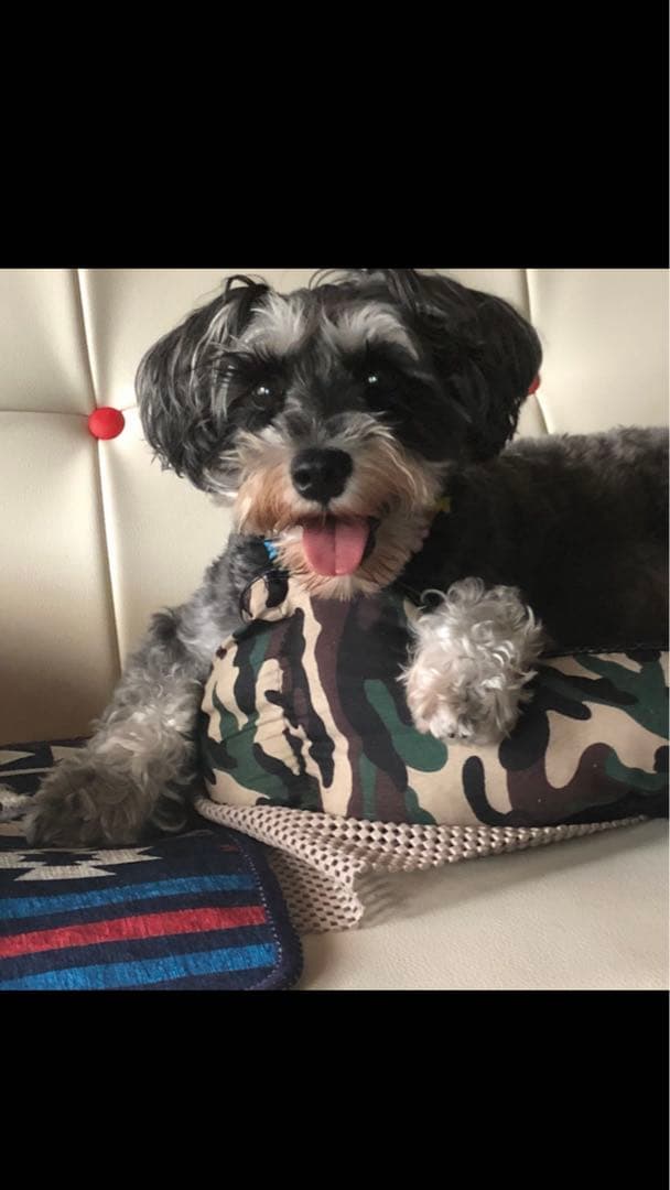 miniさま  確認用　その②