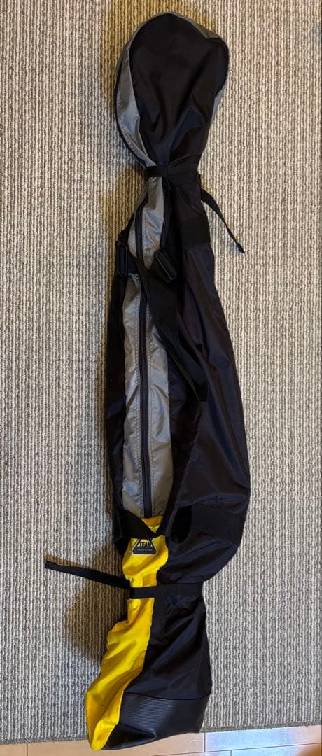 SALOMON VEスキー板（ビンディング付）・キザキストック・収納ケース