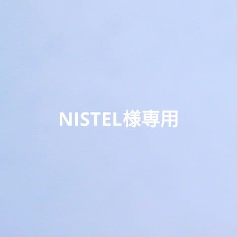 NISTEL 1/3カウチソファ トワルドジュイ風水色