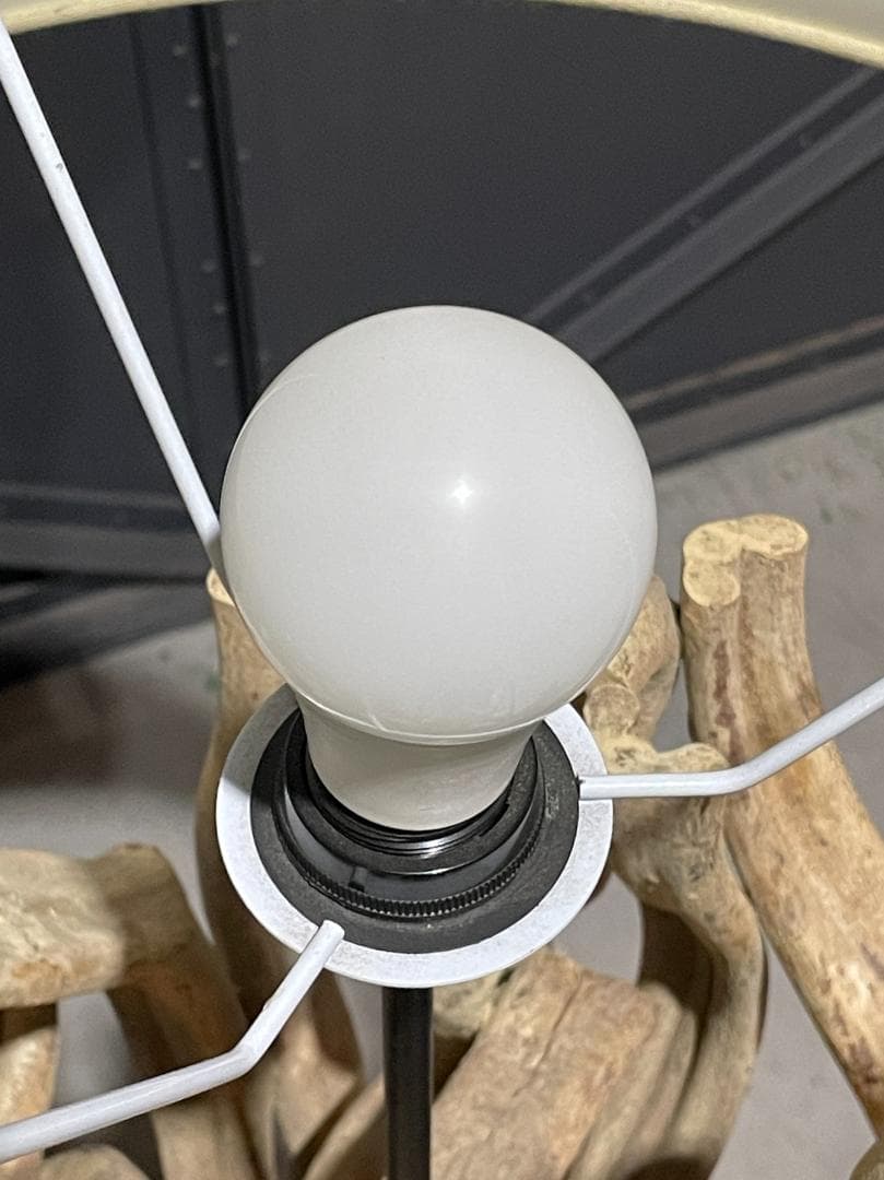 ◉KARE Design◉ Scultra　スカルトラ　流木 フロアランプ