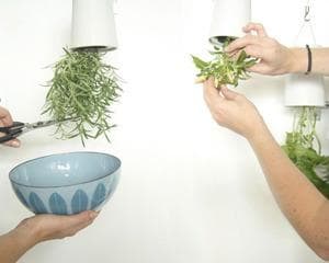 希少 廃盤品 陶器製 SKY PLANTER /スカイプランターbotanize