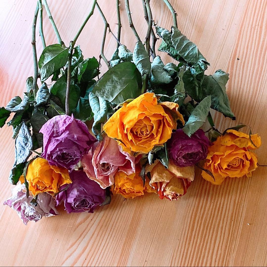ドライフラワー❇️スタンダード バラ❣️