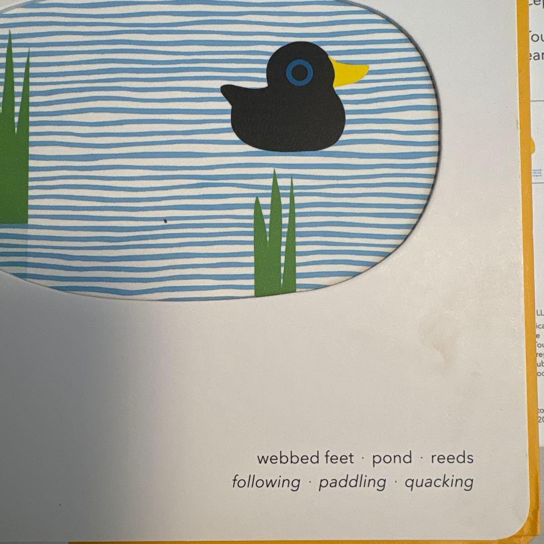 Touch Think Learn 英語　仕掛け絵本　ボードブック　17冊