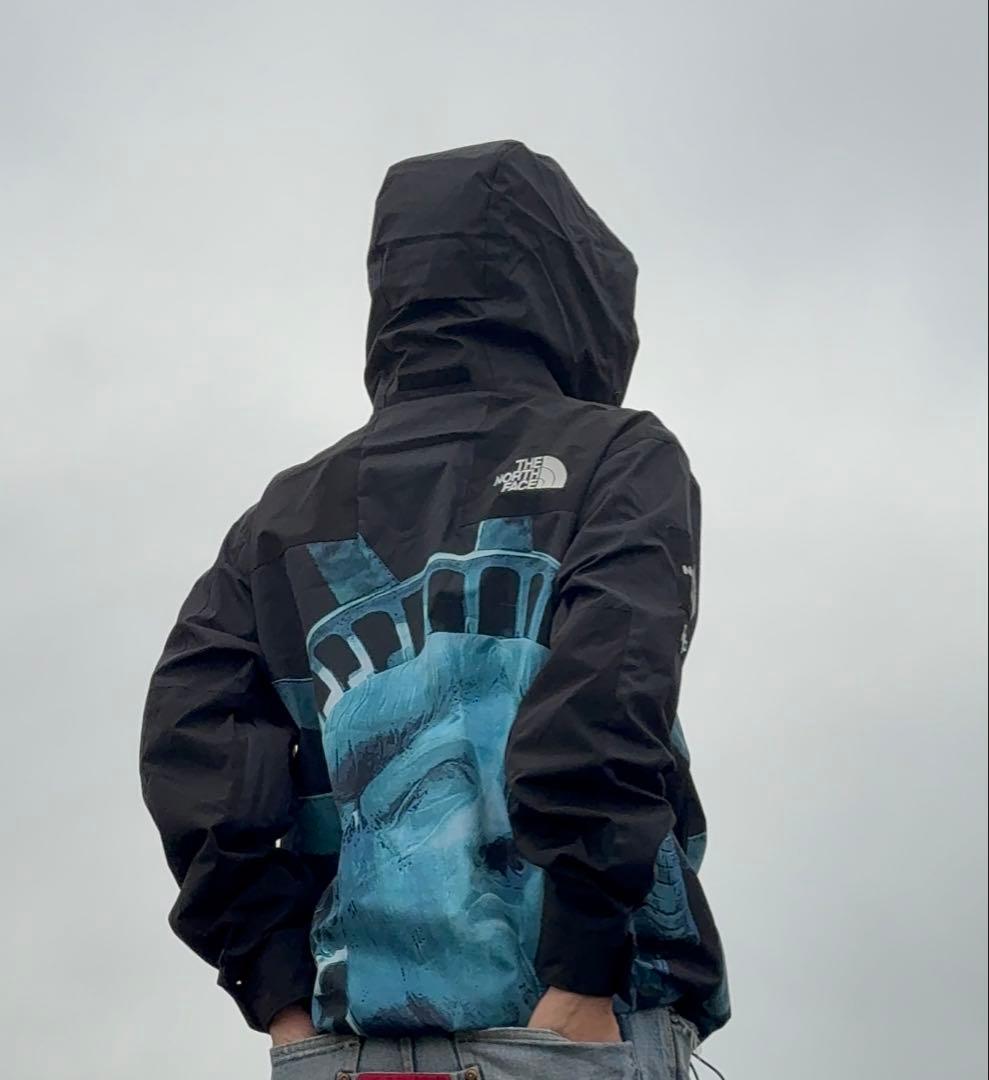 The North Face supreme自由の女神 マウンテンパーカー