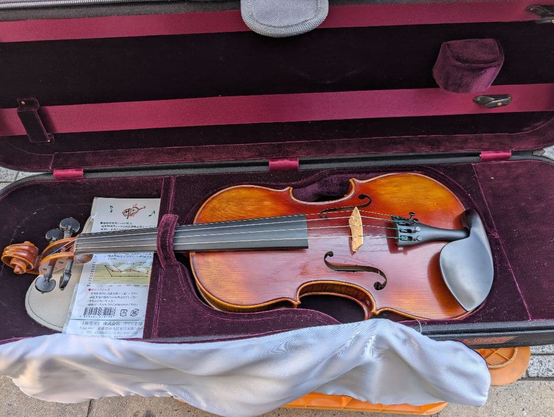 【特価】エレキバイオリン　David Gage　The Realist　RV4