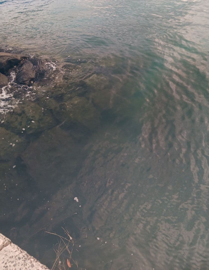 釣り用　偏光サングラス/ゼクー（ZEQUE）　ステルス