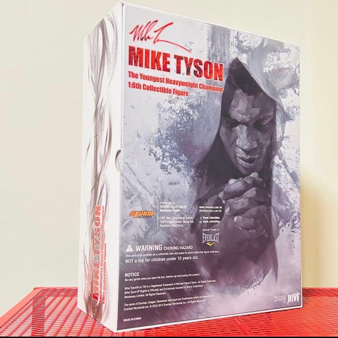 ストームコレクタブル　マイクタイソン　フィギュア　輸送箱付き　ホットトイズ