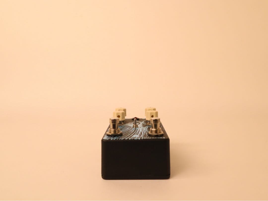 ギター OLD BLOOD NOISE ENDEAVORS DARK STAR V1