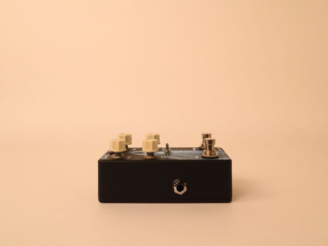 ギター OLD BLOOD NOISE ENDEAVORS DARK STAR V1