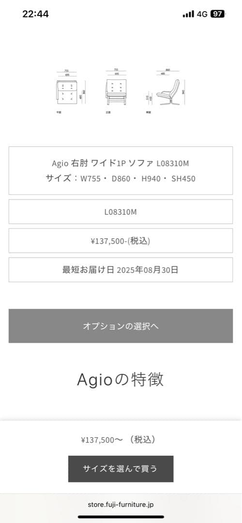 FUJI FURNITURE フジファニチア Agio 2人掛けソファ