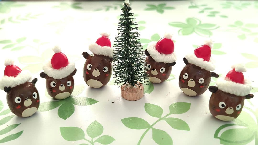 どんぐりくまちゃん　クリスマス