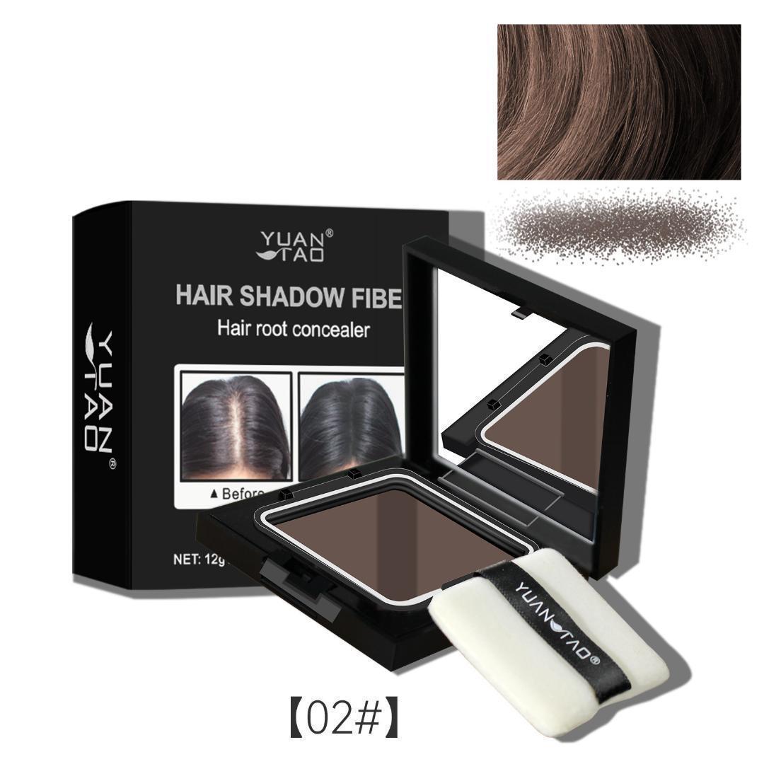 take 10個 ヘアシャドウ ヘアパウダー ダークブラウン ミラー付き