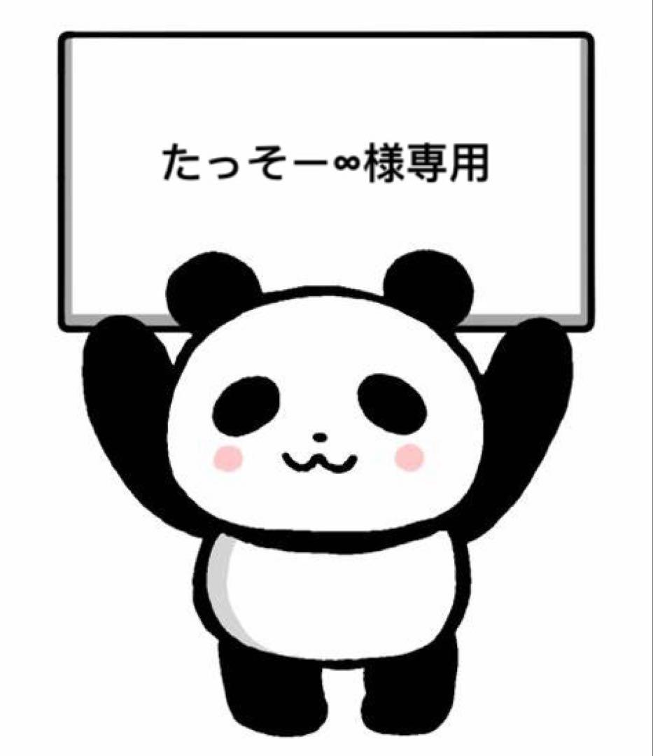 たっそー∞38サイズ