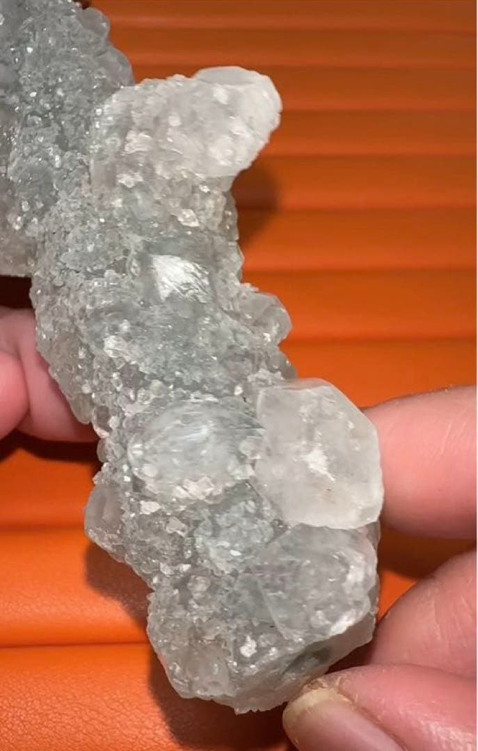 マスタークリスタル 珍品 カクタス アポフィライト カルセドニー  共生 原石