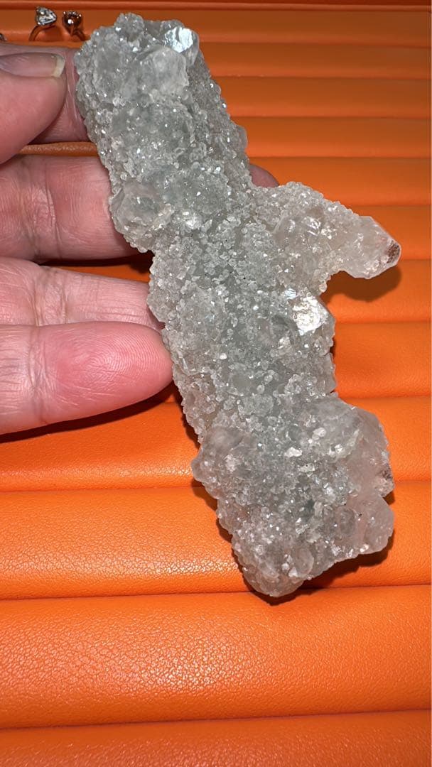 マスタークリスタル 珍品 カクタス アポフィライト カルセドニー  共生 原石