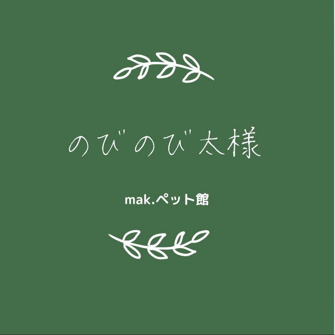 アミンアバスト　猫・小型犬用規格（300mg）60カプセル〈犬猫用〉