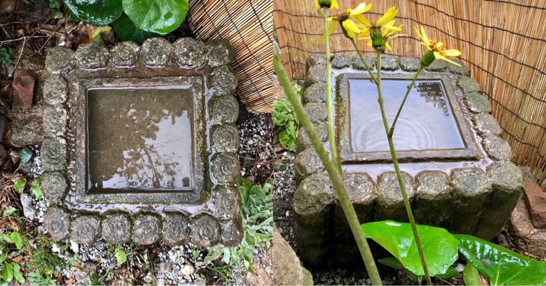 【天然自然石・四方角水鉢・蹲・茶庭向鉢】庭石・オブジェ・バードバス・ガーデニング