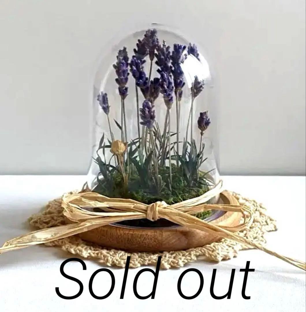 ハンドメイドドライフラワー　ラベンダー ディスプレードーム