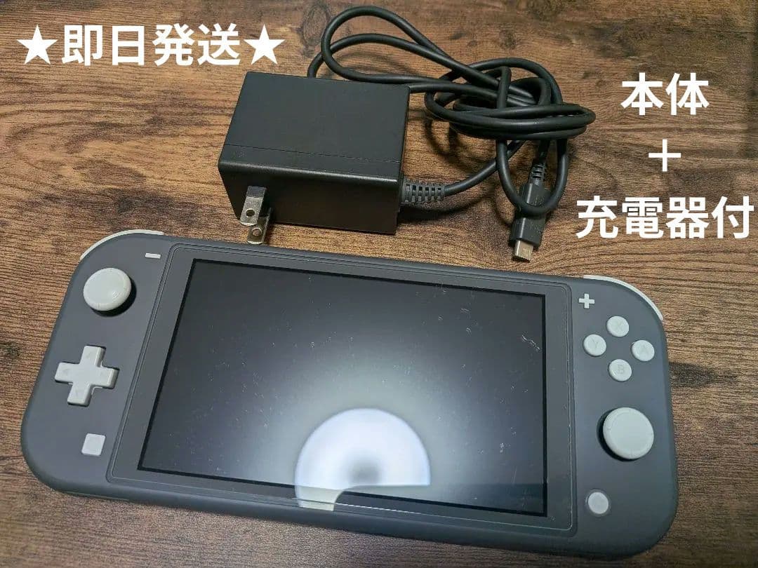 任天堂スイッチライト 本体グレー 充電器付き 初期化済　★即日発送★