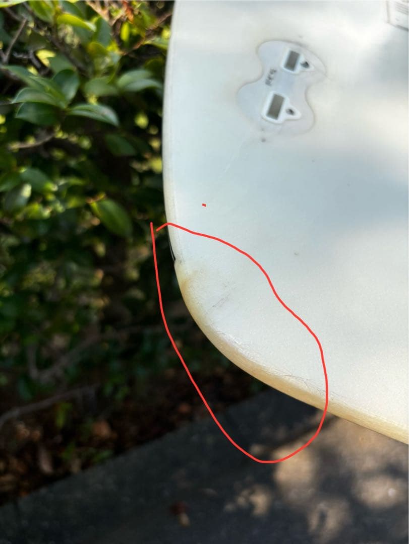 アルメリック チャンネルアイランド　スパムホエール spam whale