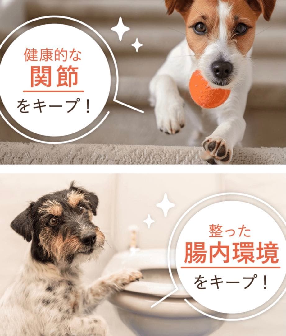 [犬猫生活 ] ドッグフード国産の生鶏肉味 850g✖️2袋